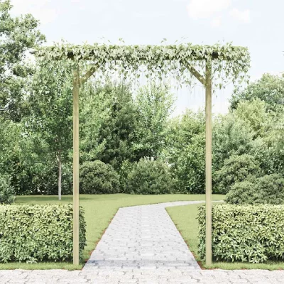 VIDAXL Pergola de jardin 200 x 40 x 205 cm Bois  n/a
