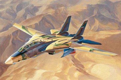 HOBBY BOSS Persian Cat F-14a Tomcat-iriaf - 1:48e - 