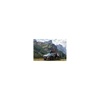 PERUZZO  Pure Instinct Roof Bar Carrier - Noir} - 1 Bike}, Noir}