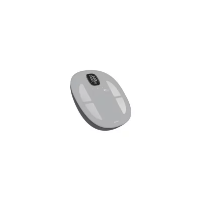 TERRAILLON P&egrave;se personne connect&eacute;  Master fit