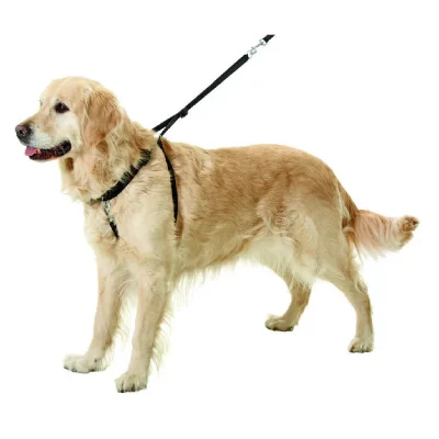 FLAMINGO PetSafe Harnais Easy Walk / XL / 86 - 117 cm : Races G&eacute;antes