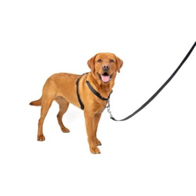 PETSAFE  Harnais Easywalk 3 En 1 - Taille L - Noir - Pour Chien