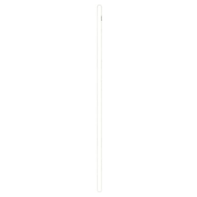 PETZL  Sangle escalade Sangle Pur Anneau 180 Cm Blanc Unique