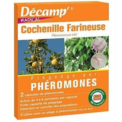 GENERIQUE Ph&eacute;romone contre la cochenille (Boite de 2 capsules)