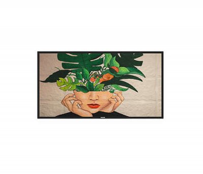 PHILIPS - Afficheur professionnel 43" 43BDL4511D/00