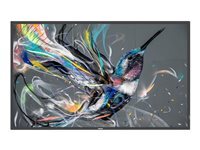 PHILIPS  Dis Public 32 Compatible 32BDL3511Q/00 Q-Line
