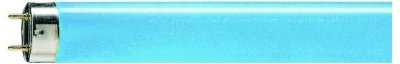 PHILIPS  - Lamp dine tube neon t8 18w 60cm couleur bleue 1818b