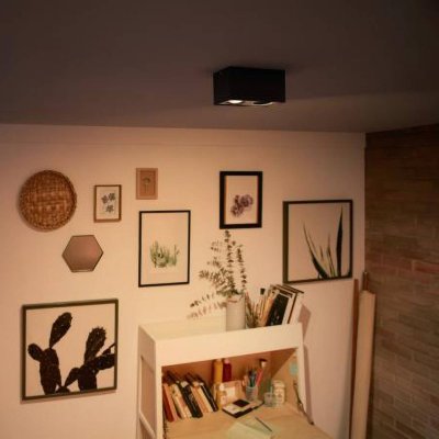 PHILIPS  myLiving spot LED Box &agrave; 2 lampes noir