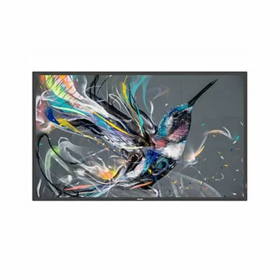 PHILIPS  T&eacute;l&eacute;vision  50BDL3550Q/00 50 Full HD
