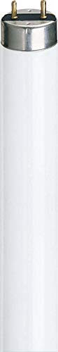 LIGHTO Philips TL-D 30W/840 G13 coolwhite - Lampes fluorescentes, socle G13