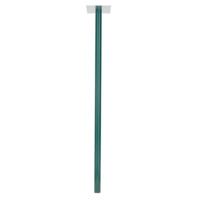BURG WACHTER Pied, pour bo&icirc;te aux lettres H.115 x l.4 BURG-W&Auml;CHTER, vert