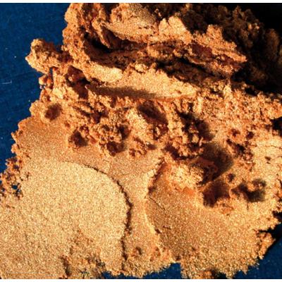 POWERTEX Pigment Colortrix  - 40 ml - Dor&eacute; - 