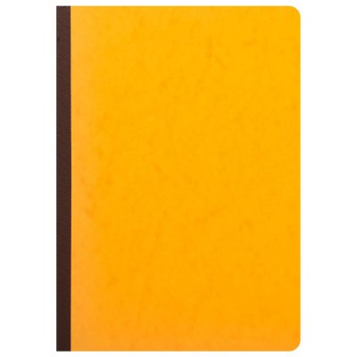 EXACOMPTA Piq&ucirc;re  T&ecirc;te paresseuse 29,7x21cm 6 colonnes/1 page 80p