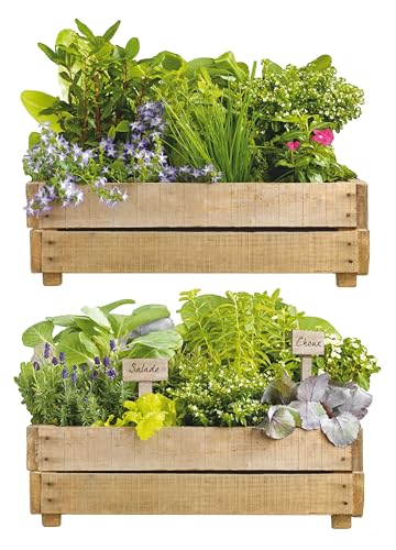 PLAGE  152728 Sticker Mural - Le Petit Potager, 1 Planche, 48 x 68 cm