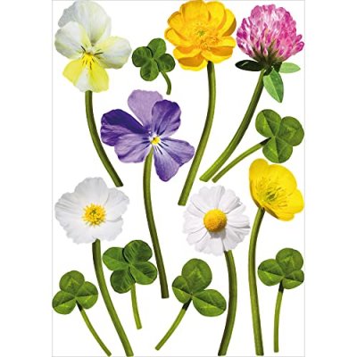 PLAGE  152735 Sticker Mural - Fleurs des Champs, 1 Planche, 48 x 68 cm