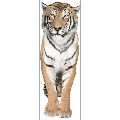 PLAGE  153938 Sticker D&eacute;cor Mural 3XL - Tigre, 58,2 x 172 cm