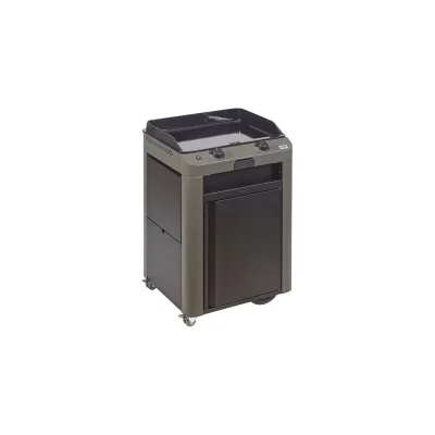 ENO Plancha &agrave; gaz 2 br&ucirc;leurs sur chariot Combo FUSION 60 Gris cargo - 