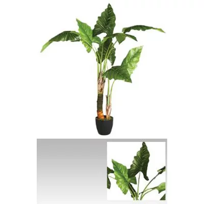 Plante Artificielle Bananier en POLYESTER + FER + POLYETHYLENE + CIM - Dim : H.120 cm --