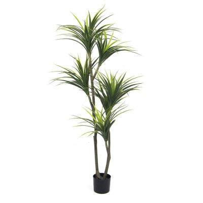 Plante artificielle - Dracaena 150cm - Exelgreen