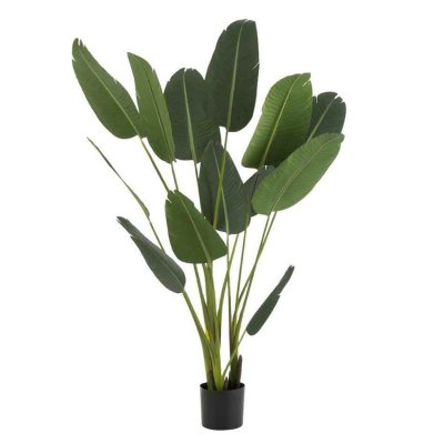 Plante Artificielle en Pot ""Strelitzia"" 189cm Vert