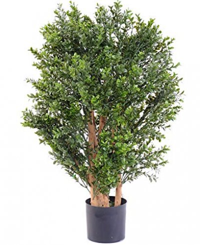 PEGANE Plante artificielle haute gamme Sp&eacute;cial ext&eacute;rieur / BUIS Artificiel Buisson UV - Dim : 70 x 50 cm