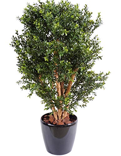 PEGANE Plante artificielle haute gamme Sp&eacute;cial ext&eacute;rieur / BUIS Artificiel Buisson UV - Dim : 80 x 50 cm