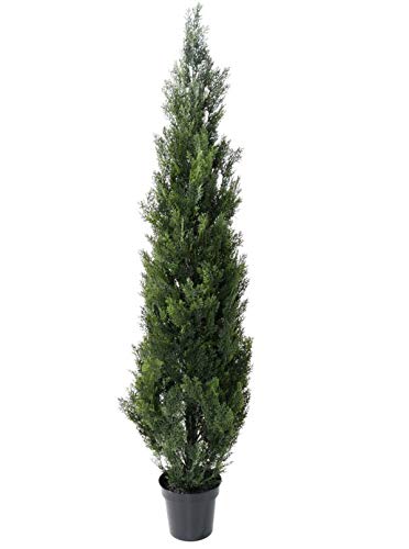 PEGANE Plante artificielle haute gamme Sp&eacute;cial ext&eacute;rieur / Cypr&egrave;s Artificiel Mini Vert - Dim : 180 x 45 cm
