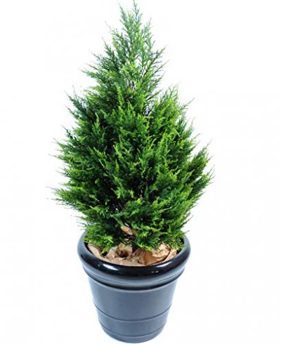PEGANE Plante artificielle haute gamme Sp&eacute;cial ext&eacute;rieur / Cypr&egrave;s Junip&eacute;rus Artificiel - Dim : 105 x 57 cm