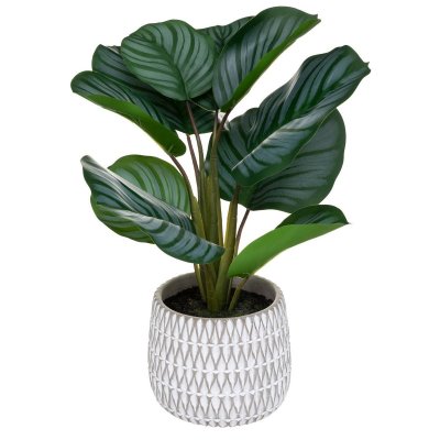 ATMOSPHERA CREATEUR D INTERIEUR Plante artificielle Maranta en pot h 45 cm - Vert - Atmosphera