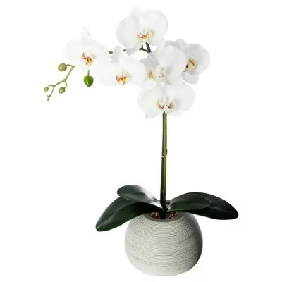 GENERIQUE Plante artificielle Orchid&eacute;e dans Pot en c&eacute;ramique H 50 cm