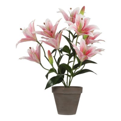 Plante artificielle Rose Polyester H47xl45xL45cm