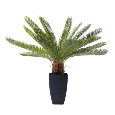 Plante d&eacute;corative Cycas 78cm Kare Design