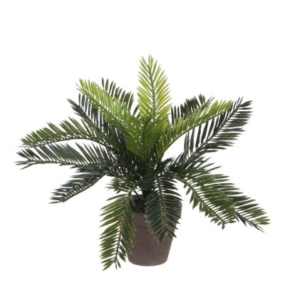 Plante d&eacute;corative mica decorations c&eacute;ramique palmier (11,5 x 33 cm)