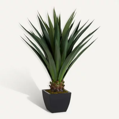 ATMOSPHERA Plante grasse en pot h. 130 cm instinct naturel - 