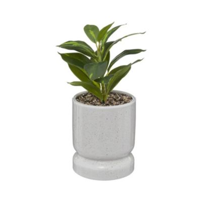 ATMOSPHERA CREATEUR D INTERIEUR Plante verte artificielle pot en c&eacute;ramique H 30 cm