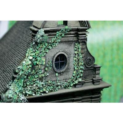 MBZ Plantes grimpantes vigne vierge  80117 vert