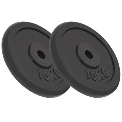VIDAXL Plaque de poids 2 pcs 2x10 kg Fonte  n/a