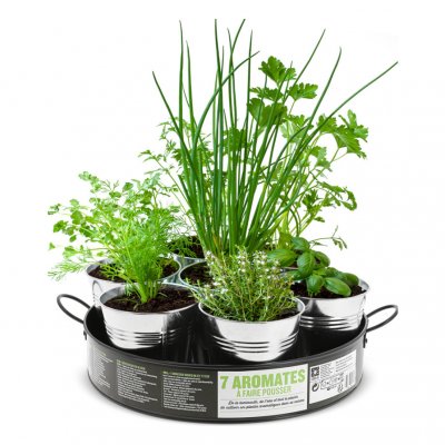 NATURE & DECOUVERTES Plateau 7 aromates nouvelle recette