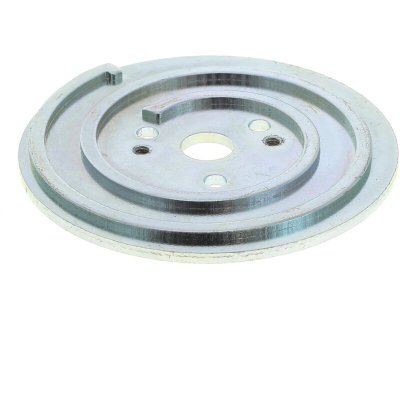 RYOBI Platine de serrage pour Tronconneuse  - 3665392059288