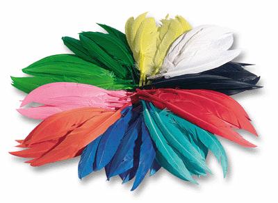  Plume Indien Assorti - Sachet De 100g