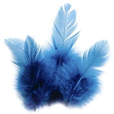 GRAINE CR Plumes Coq Bleu - 10 cm - 3 g - &eacute;ative - couleur variant