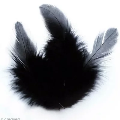 GRAINE CREATIVE Plumes Coq Noir - 10 cm - 3 gr - Graine Cr&eacute;ative - couleur variant