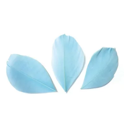 GRAINE CREATIVE ON A TOUS DU TALENT Plumes Coup&eacute;es Bleu clair - 6 cm - 3 gr - Graine Cr&eacute;ative - couleur variant
