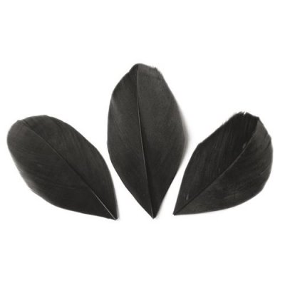 GRAINE CREATIVE ON A TOUS DU TALENT Plumes Coup&eacute;es Noir - 6 cm - 3 gr - Graine Cr&eacute;ative - couleur variant