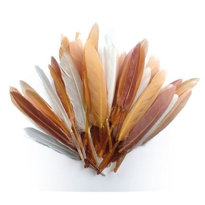 GRAINE CREATIVE Plumes d'indien camaieu beige sachet 10g 15cm - graine cr&eacute;ative