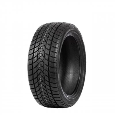 DELINTE Pneu Hiver  WINTER WD1 205/55 R16 91H