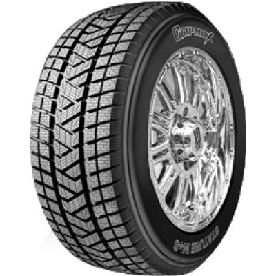 GRIPMAX Pneu Hiver  STATURE M/S 225/60 R18 100H