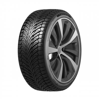 AUSTONE Pneu Quatre saisons  SP-401 195/65 R15 95V