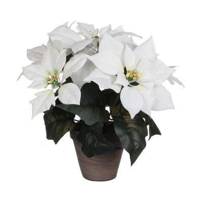Poinsettia Pot de Fleurs Blanc/Gris D13 5 cm x 30 x 33 cm