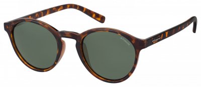 POLAROID  PLD 1013/S H8 V08 50 Sunglasses, V08/H8 Havana, Mens